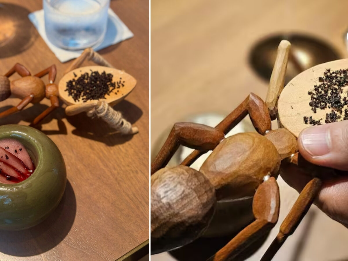 Un chef Michelin podría ir a prisión por servir hormigas en sus postres en Corea del Sur
