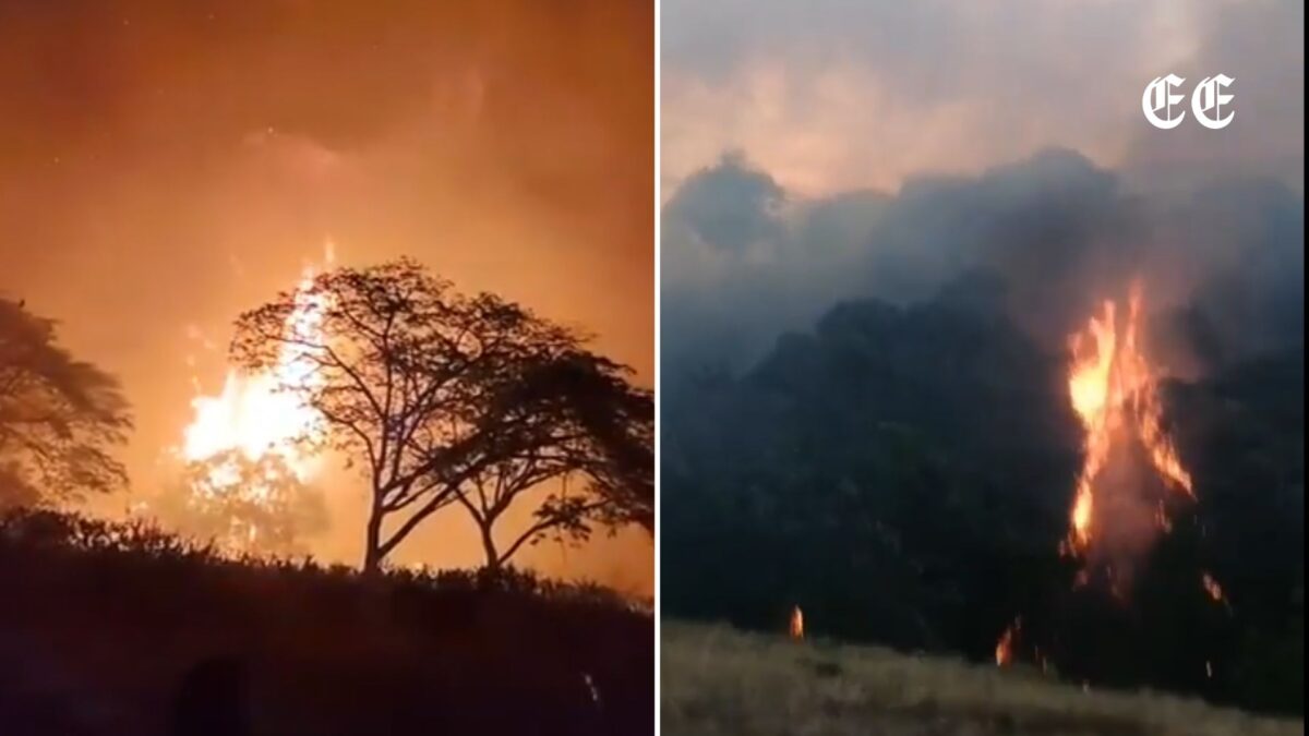 alerta maxima en colombia con 340 municipios amenazados por incendios y sequia incendios en colombia redes sociales