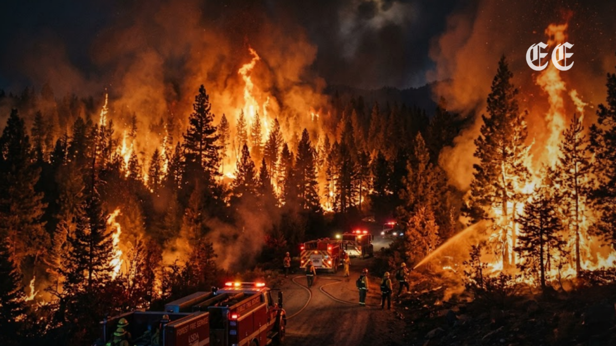 ee uu declara la emergencia federal ante la ola de incendios fuera de control en el noroeste pagina web