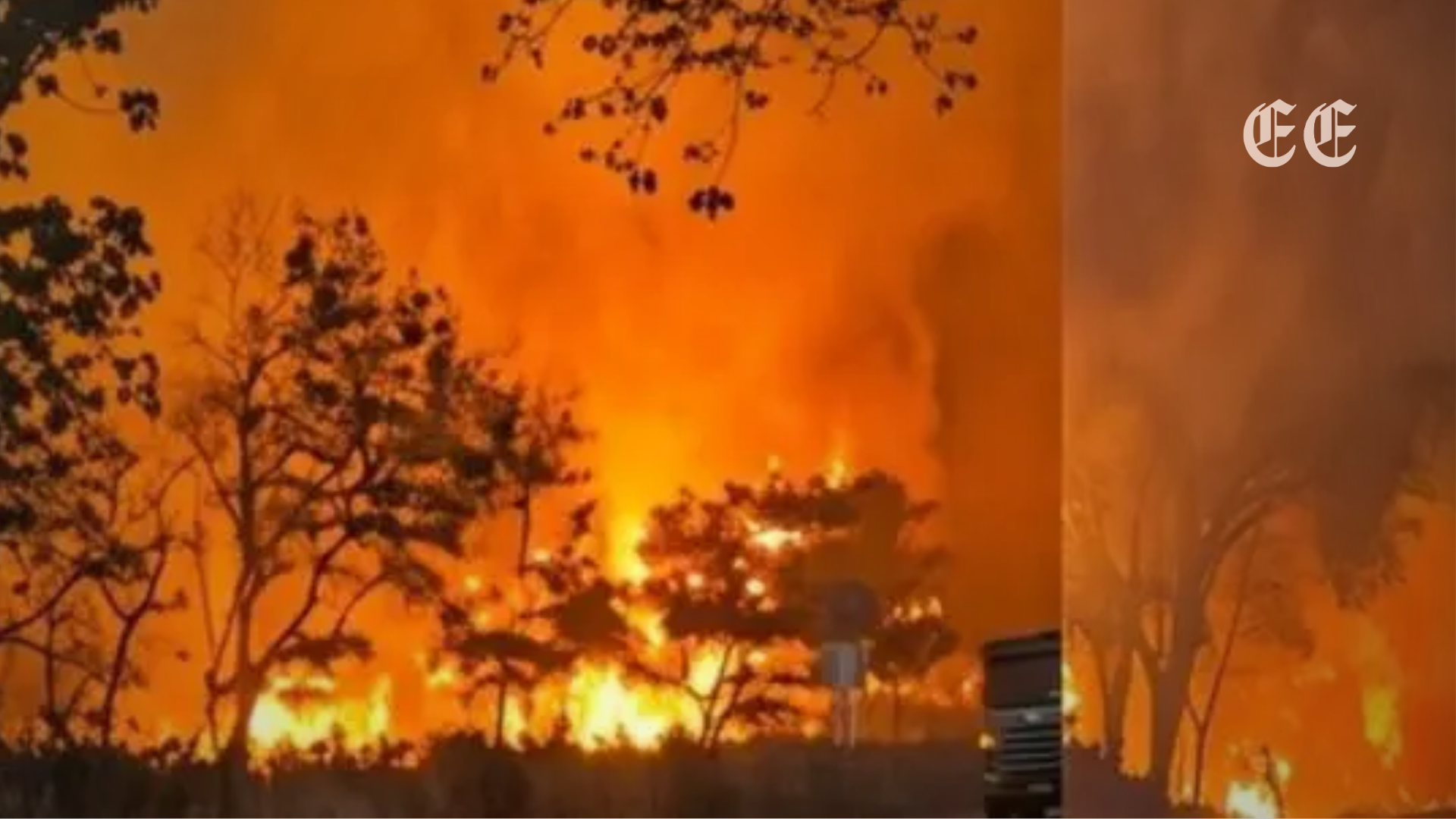 emergencia ambiental en tolima por 22 incendios forestales activos en 14 municipios pagina web