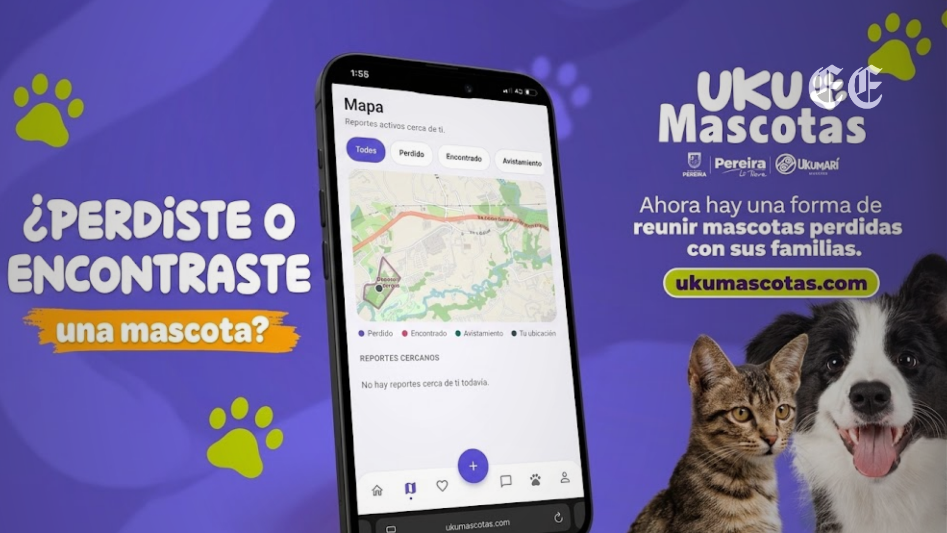 lanzan plataforma digital en pereira para reencontrar mascotas extraviadas tras la emergencia pagina web 1