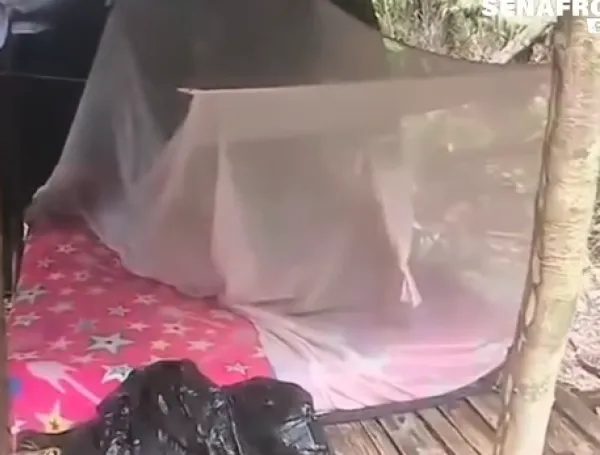 panama detiene a 21 colombianos y dos panamenos por mineria ilegal en la selva del darien image