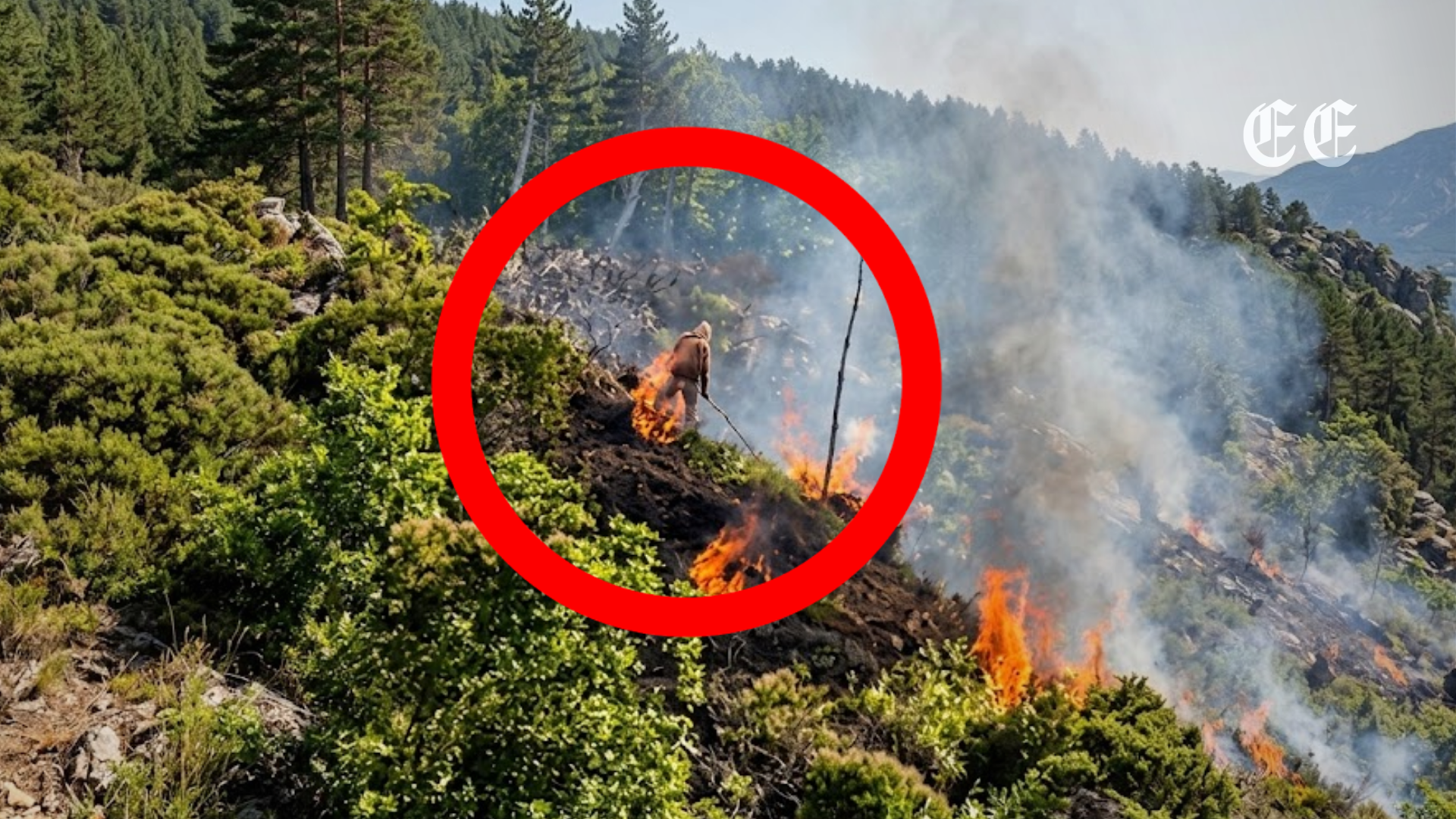 video capto el momento en que provocan un voraz incendio forestal en la zona rural de jamundi pagina web
