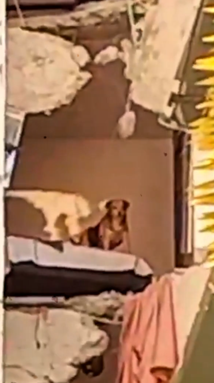 a un mes del terremoto como nos cambio la vida image 3