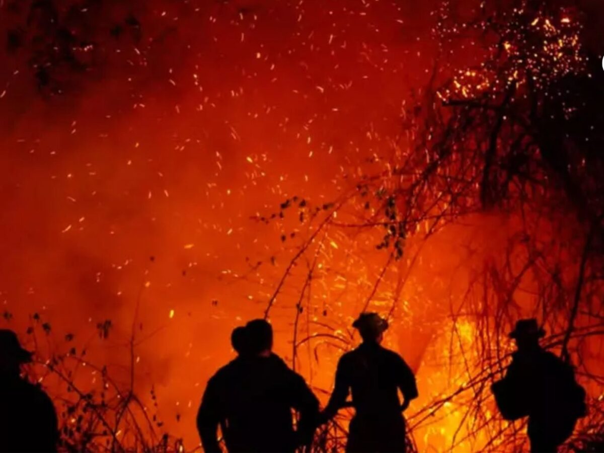 ¿Están incendiando el país? ¿Qué está pasando?