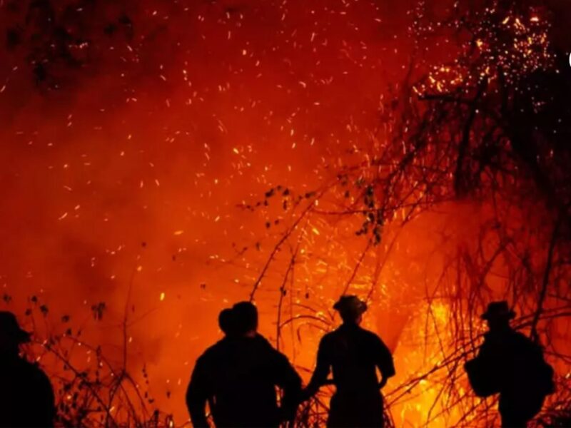 estan incendiando el pais que esta pasando incendios colombia efe