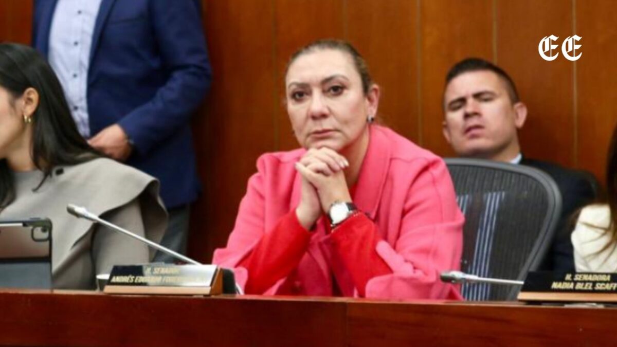 La dirección del ICBF exige investigación penal tras sufrir hostigamiento e injurias en internet 1 borrador automatico maria carolina restrepo icbf