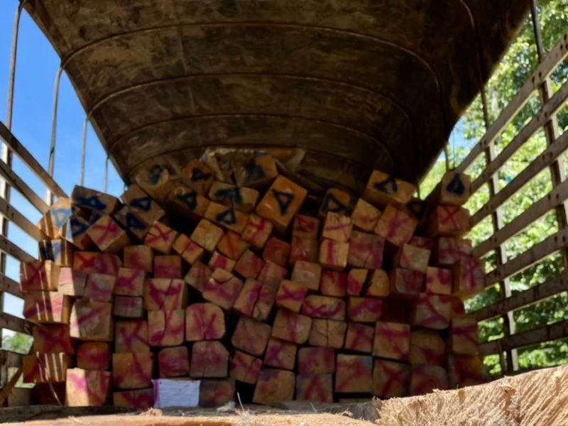 La CARDER recibió donación de madera por parte de la CAR Cundinamarca
