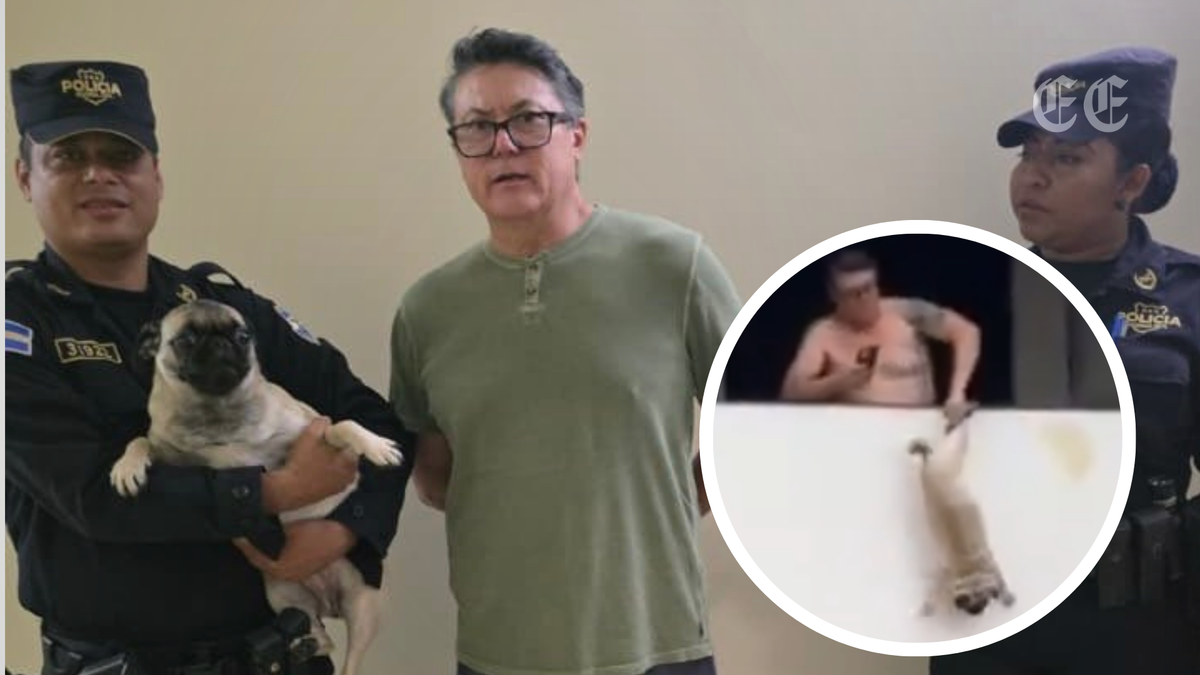 capturan en san salvador a hector rosales bonilla tras colgar a un perro pug desde el quinto piso de un edificio pagina web 1200x675 capturan en san salvador a hector rosales bonilla tras colgar a un