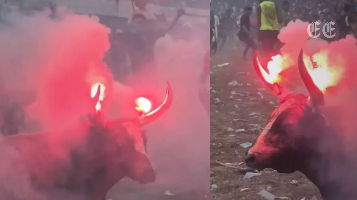 Caso de un toro en corraleja de Sabanalarga genera alerta por sanciones e investigaciones penales 1 caso de un toro en corraleja de sabanalarga genera alerta por sanciones e investigaciones penales pagina web 1200x675 caso de un toro en corraleja de sabanalarga genera alerta por sanciones e investig