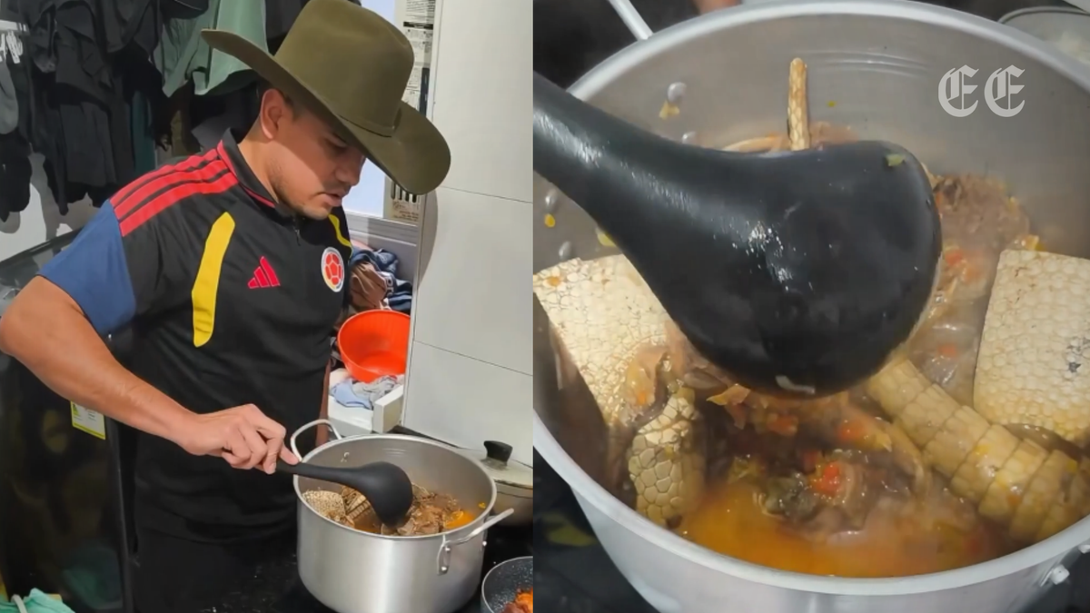 cuestionan a presunto funcionario de la agencia nacional de tierras por publicar video cocinando un armadillo pagina web 1200x675 cuestionan a presunto funcionario de la agencia nacional de tierras po