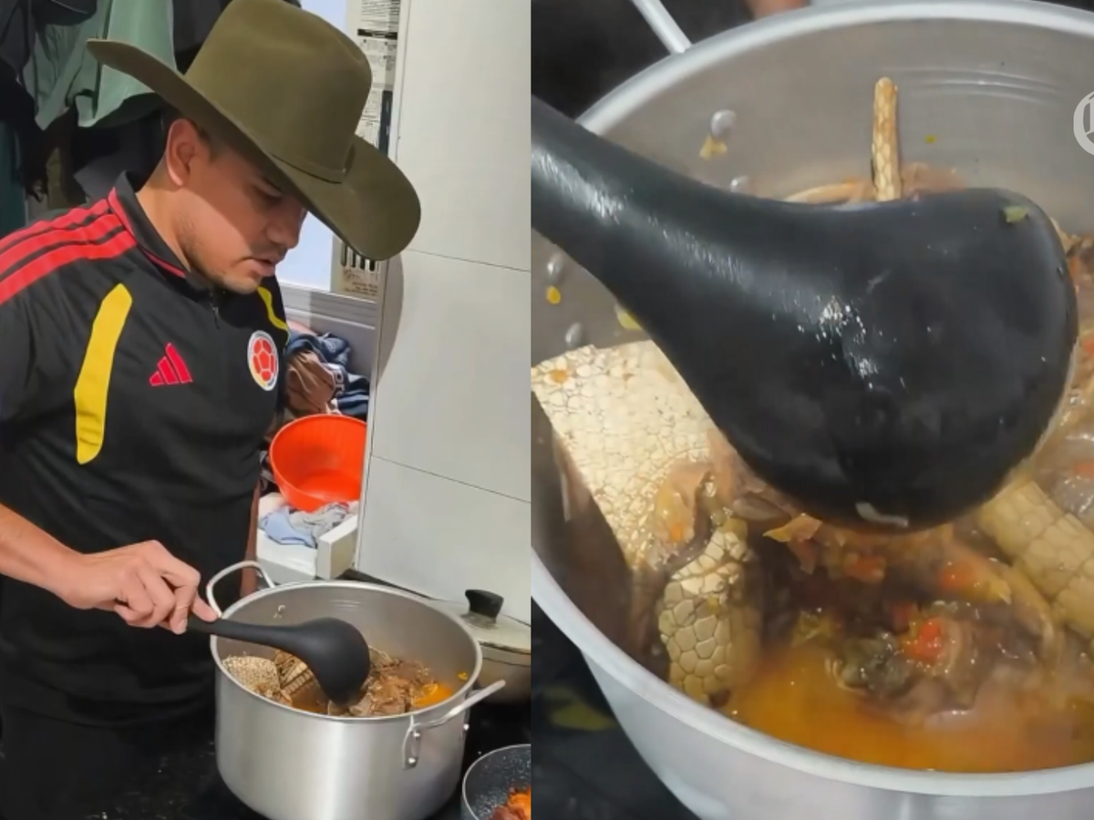 Cuestionan a presunto funcionario de la Agencia Nacional de Tierras por publicar video cocinando un armadillo