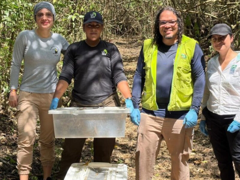 Del Arca de Noé de la CARDER – Ukumarí a una nueva vida: 72 animales silvestres fueron liberados y reubicados en Cartagena