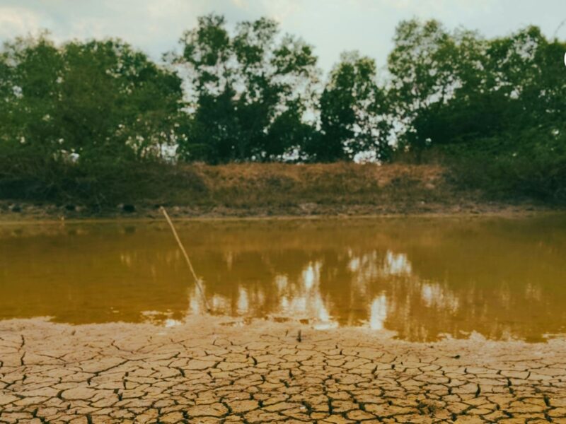 el ideam confirma un fenomeno de el nino fuerte en colombia con probabilidades de extenderse hasta 2027 fenomeno de el nino stock