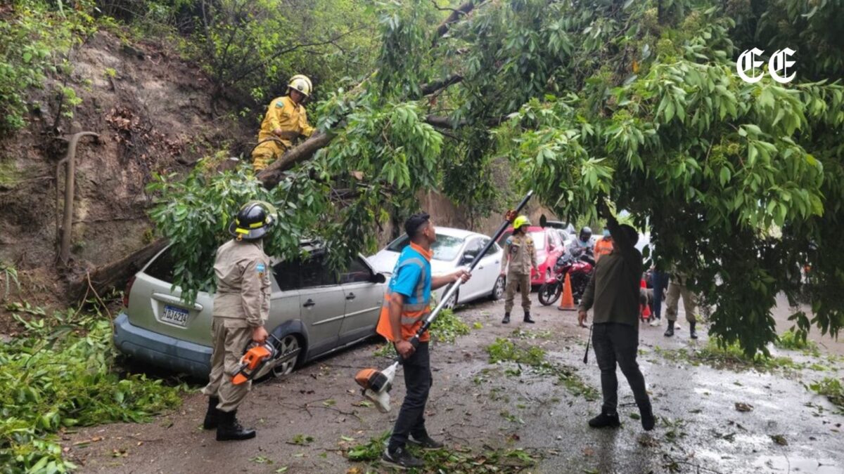 emergencia en yumbo tras fuerte vendaval que provoco caida de arboles y destrozos materiales yumbo bomberos yumbo