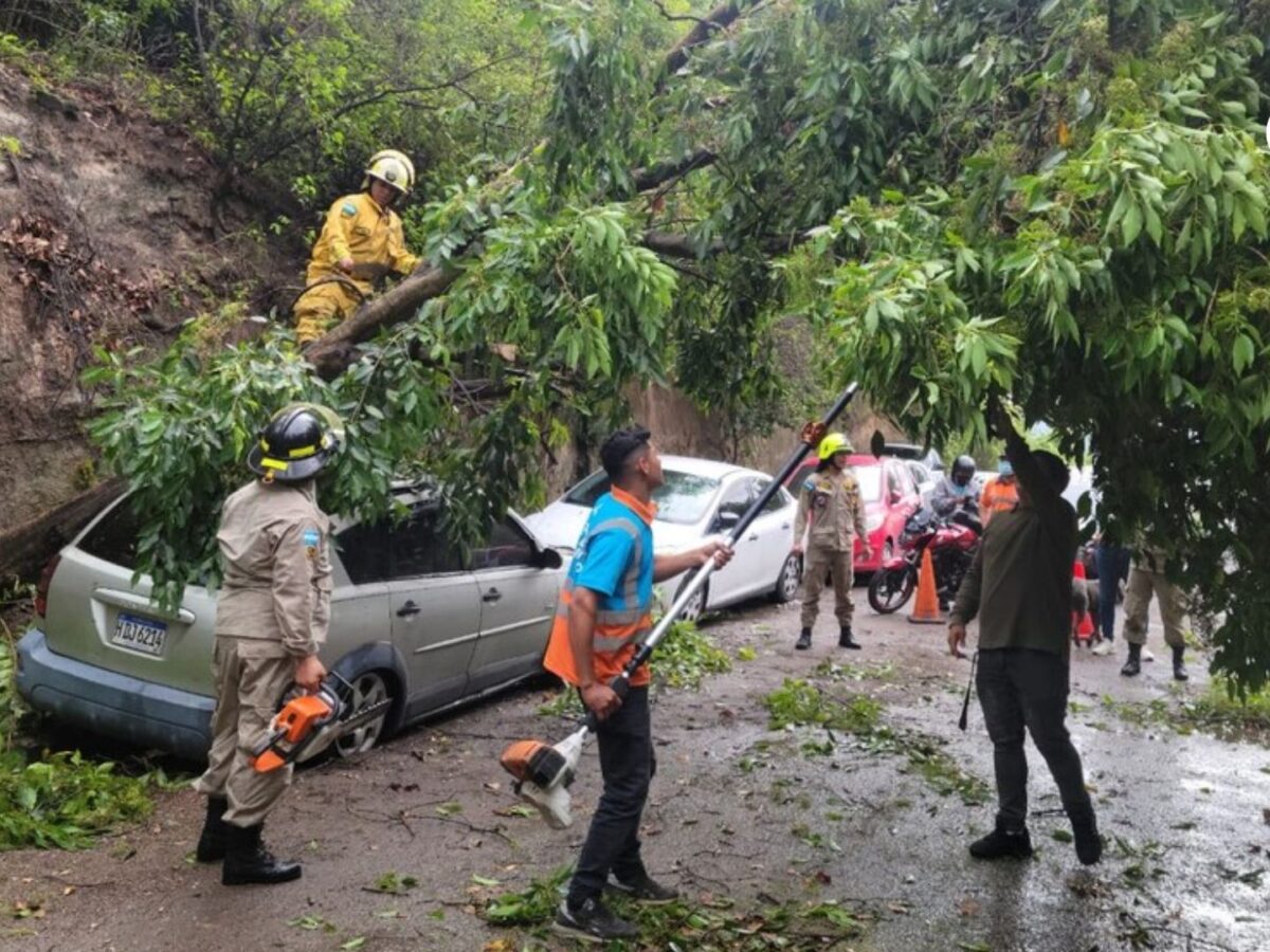 Emergencia en Yumbo tras fuerte vendaval que provocó caída de árboles y destrozos materiales