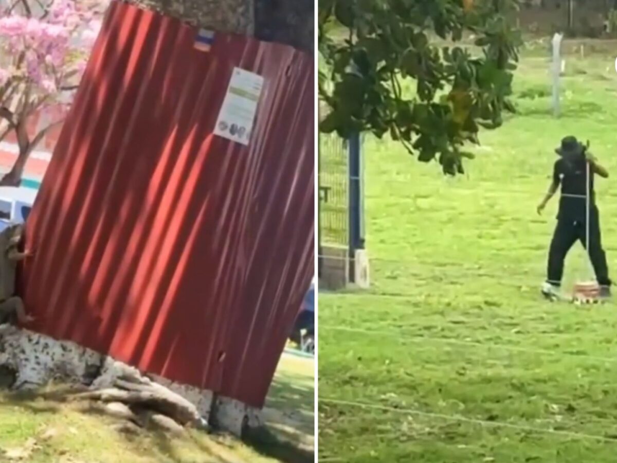 Malos tratos a iguanas y uso de barreras metálicas desatan una fuerte polémica ambiental en la Universidad San Martín