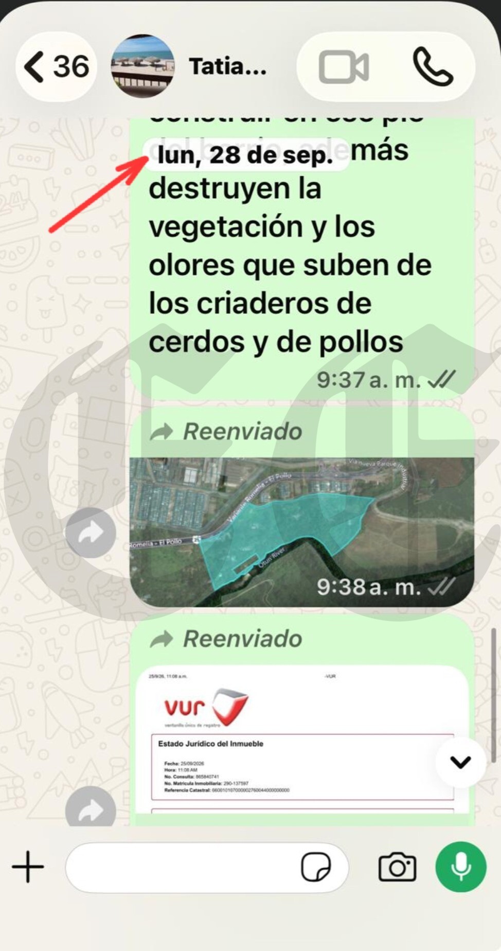 tatiana margarita las denuncias las publico no las oculto a proposito cuentenos de contratos de su primo con la carder viviendo en santa marta 5