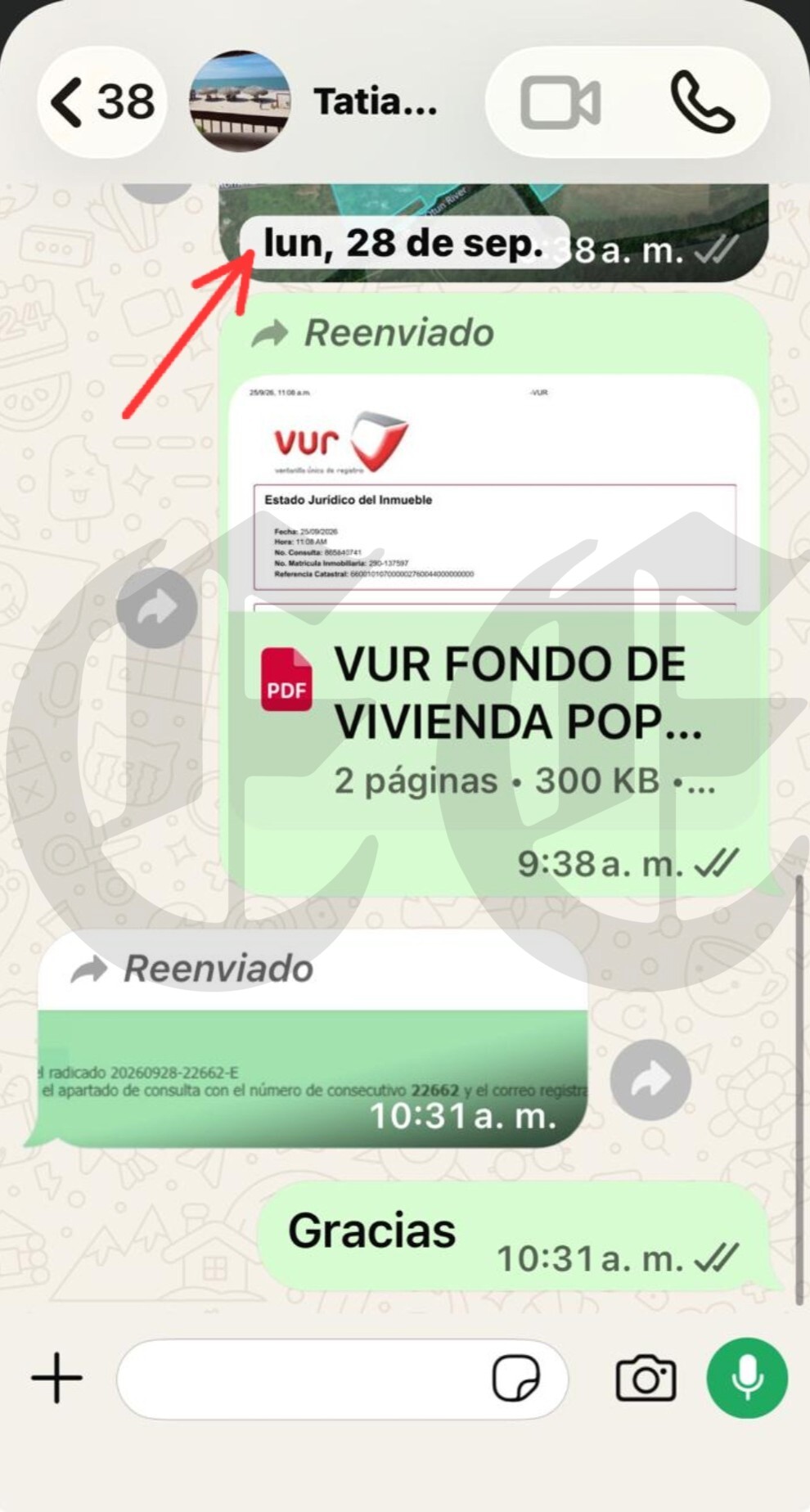 tatiana margarita las denuncias las publico no las oculto a proposito cuentenos de contratos de su primo con la carder viviendo en santa marta 6