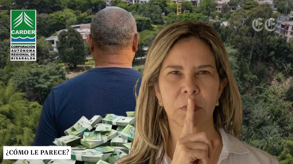 tatiana margarita las denuncias las publico no las oculto a proposito cuentenos de contratos de su primo con la carder viviendo en santa marta pagina web 1 1200x675 tatiana margarita las denuncias las