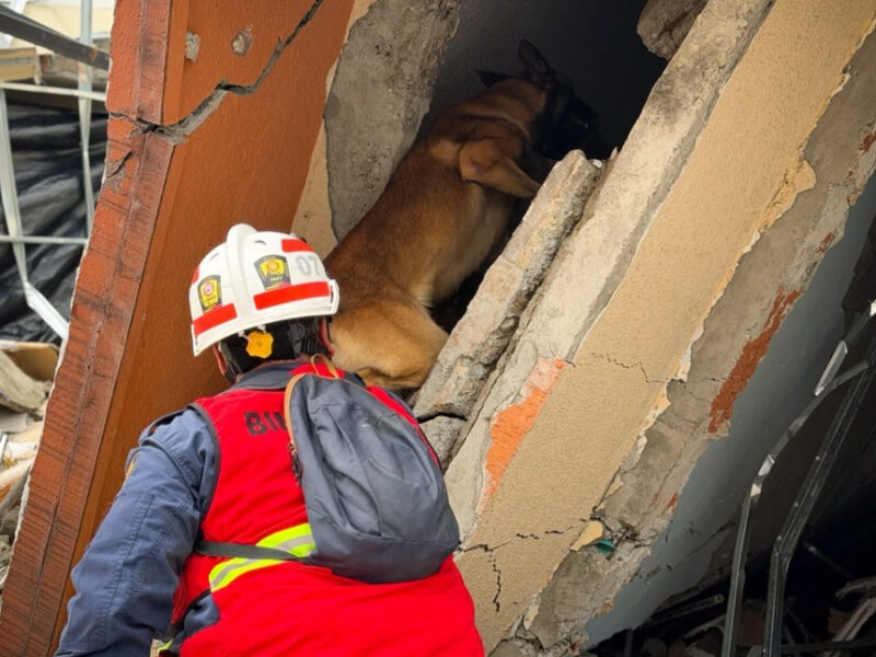 USAR COL-22 demostró su capacidad de respuesta en simulacro de sismo