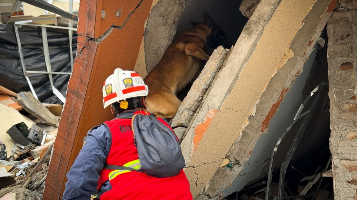 USAR COL-22 demostró su capacidad de respuesta en simulacro de sismo 1 usar col 22 demostro su capacidad de respuesta en simulacro de sismo portadas clp web 2026 10 14t123951.219